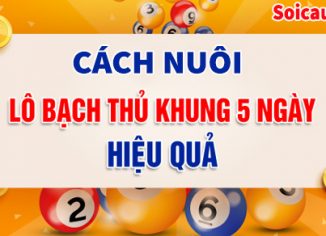 Cách bắt bạch thủ lô khung 5 ngày siêu chính xác