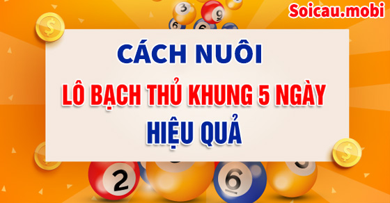 Cách bắt bạch thủ lô khung 5 ngày siêu chính xác